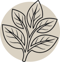 icones avec des feuilles pour montrer le côté bio
