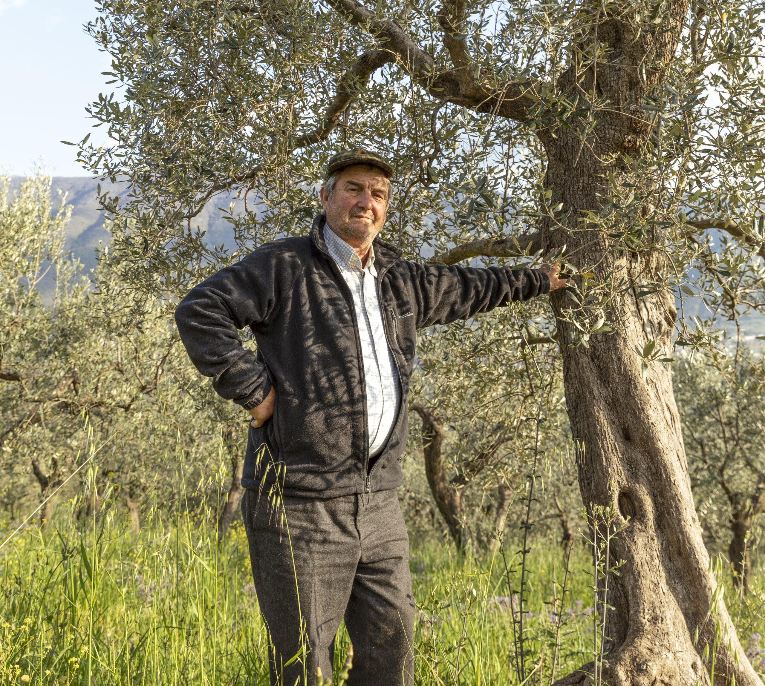 photo de l'oncle Davide dans son oliveraie